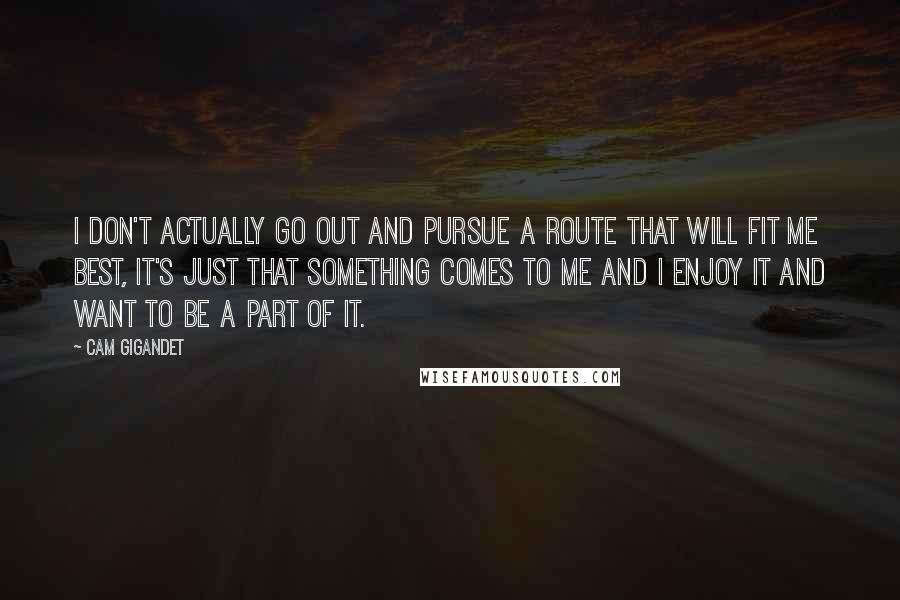 Cam Gigandet Quotes: I don't actually go out and pursue a route that will fit me best, it's just that something comes to me and I enjoy it and want to be a part of it.