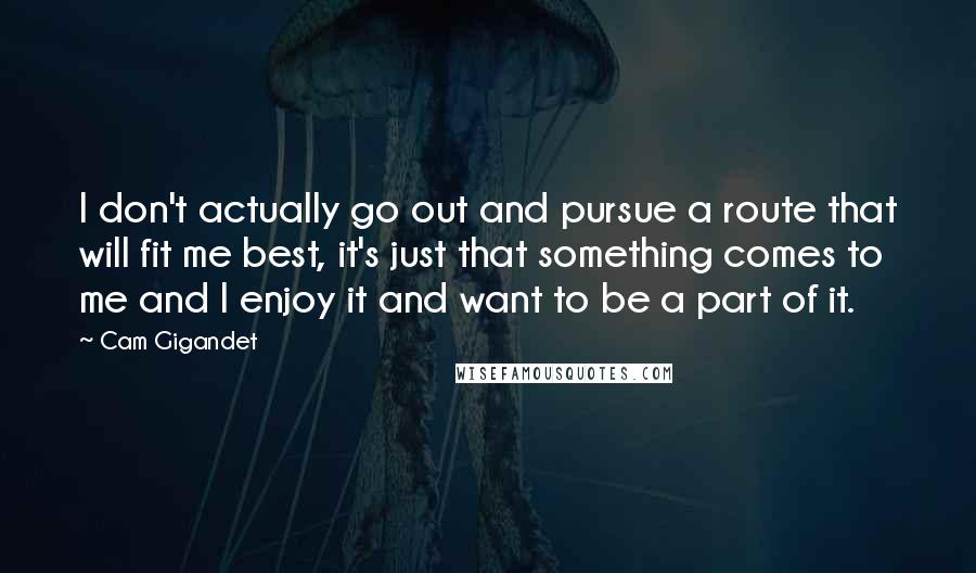 Cam Gigandet Quotes: I don't actually go out and pursue a route that will fit me best, it's just that something comes to me and I enjoy it and want to be a part of it.