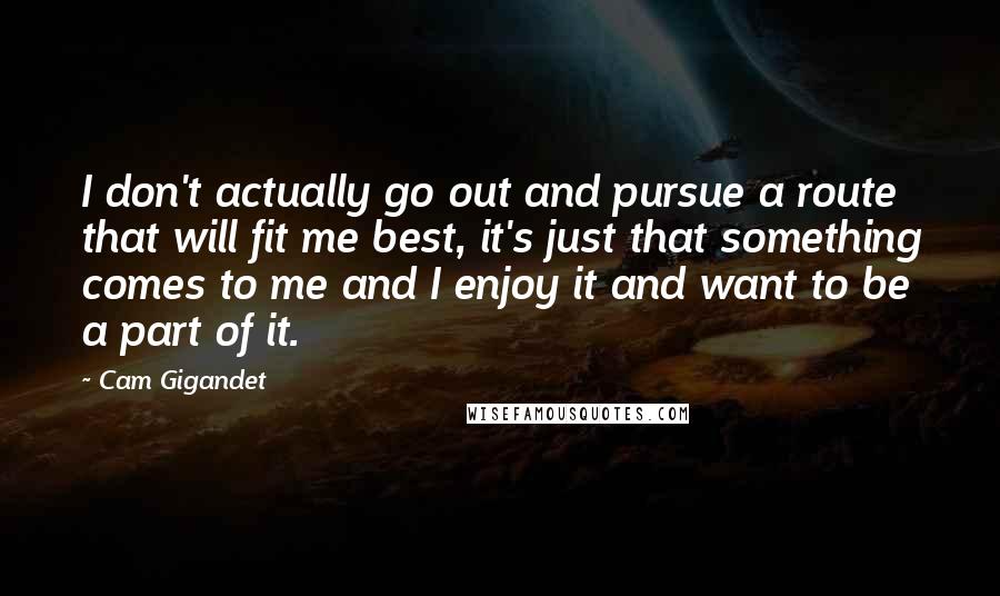 Cam Gigandet Quotes: I don't actually go out and pursue a route that will fit me best, it's just that something comes to me and I enjoy it and want to be a part of it.