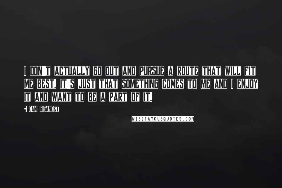 Cam Gigandet Quotes: I don't actually go out and pursue a route that will fit me best, it's just that something comes to me and I enjoy it and want to be a part of it.