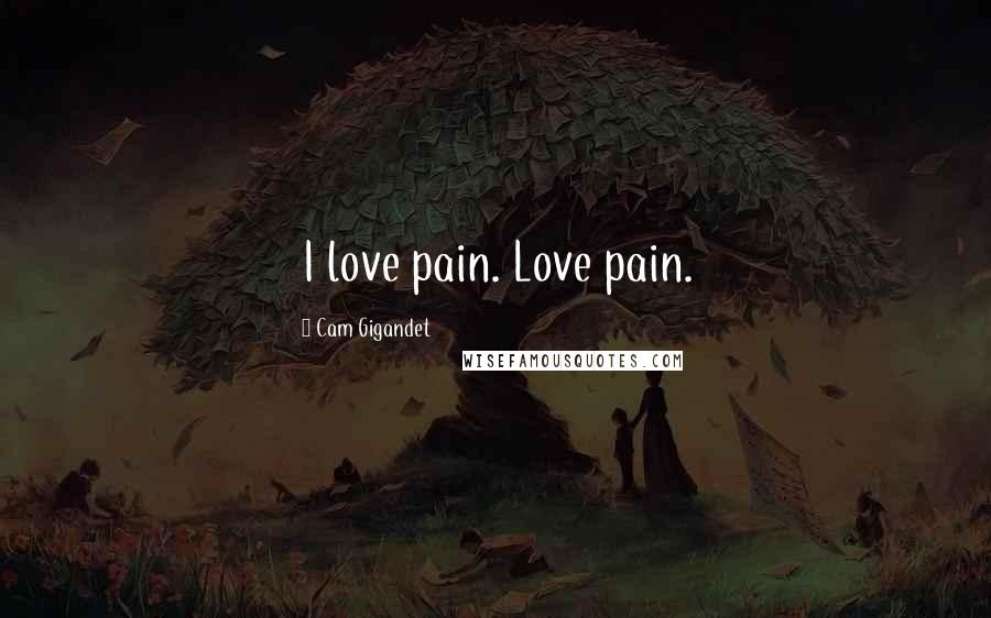 Cam Gigandet Quotes: I love pain. Love pain.