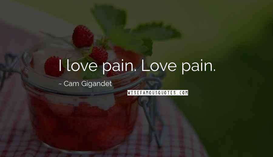 Cam Gigandet Quotes: I love pain. Love pain.
