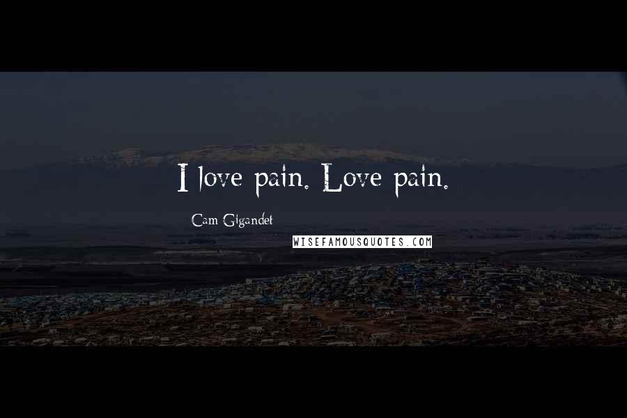 Cam Gigandet Quotes: I love pain. Love pain.
