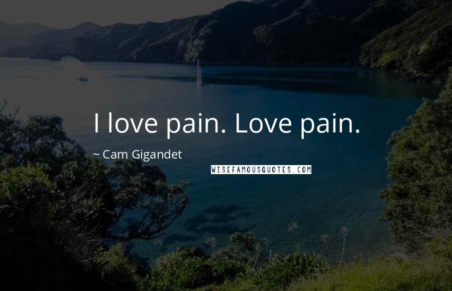 Cam Gigandet Quotes: I love pain. Love pain.