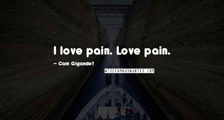 Cam Gigandet Quotes: I love pain. Love pain.