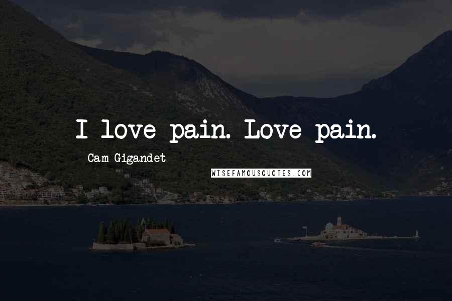 Cam Gigandet Quotes: I love pain. Love pain.