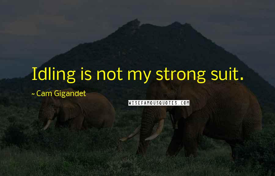 Cam Gigandet Quotes: Idling is not my strong suit.