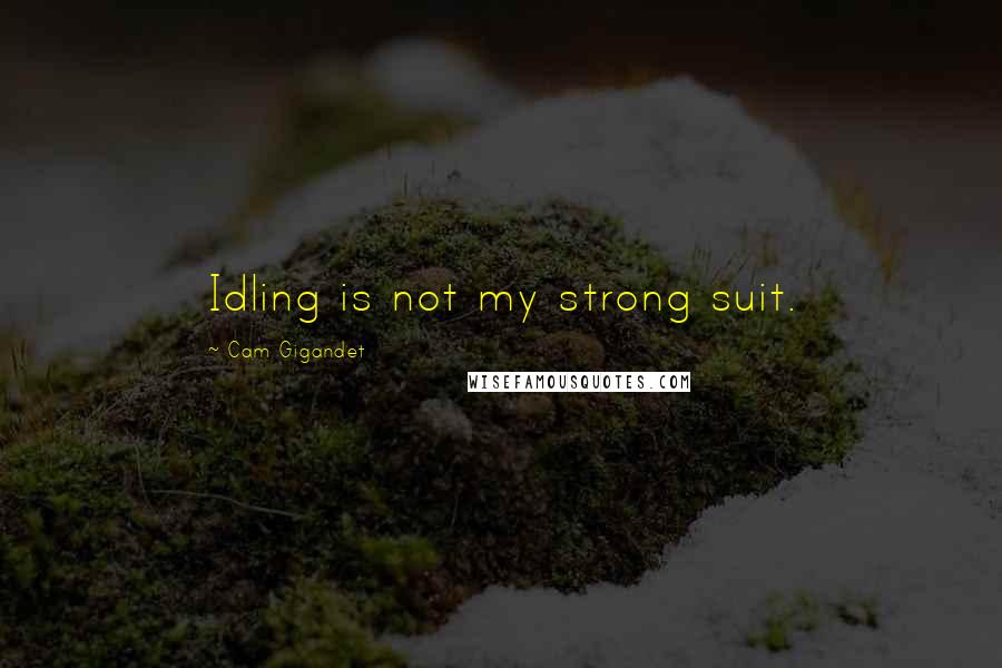 Cam Gigandet Quotes: Idling is not my strong suit.