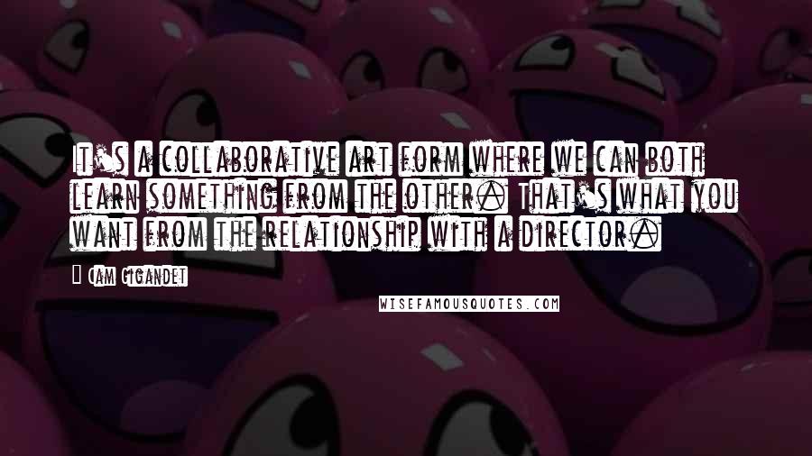 Cam Gigandet Quotes: It's a collaborative art form where we can both learn something from the other. That's what you want from the relationship with a director.