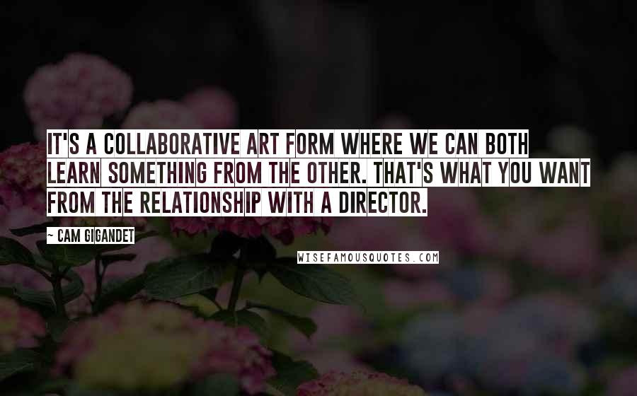 Cam Gigandet Quotes: It's a collaborative art form where we can both learn something from the other. That's what you want from the relationship with a director.