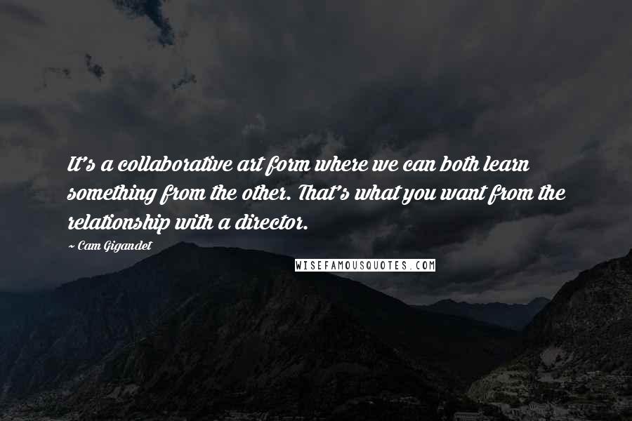 Cam Gigandet Quotes: It's a collaborative art form where we can both learn something from the other. That's what you want from the relationship with a director.
