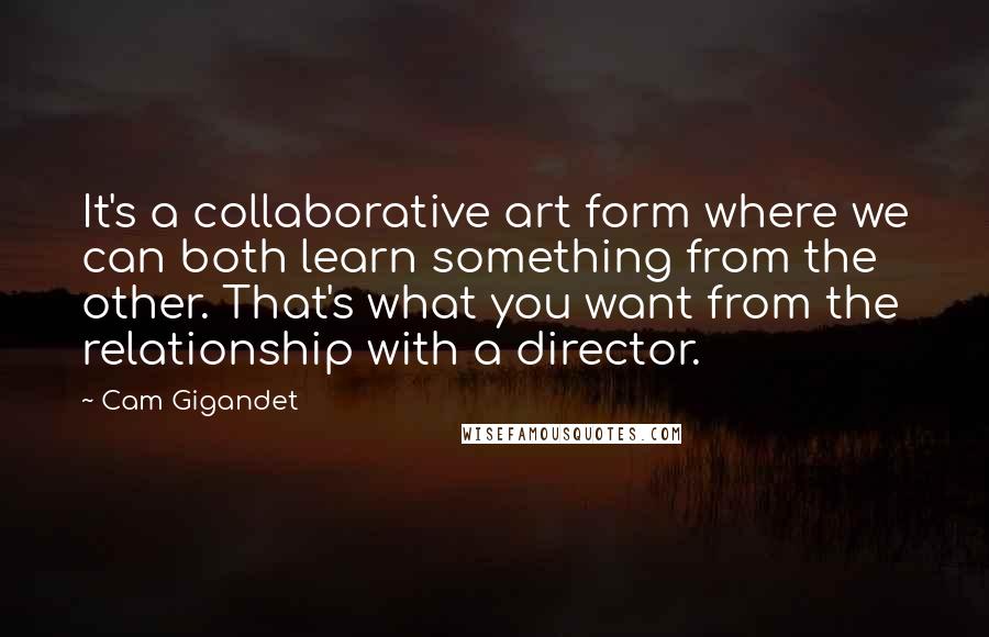 Cam Gigandet Quotes: It's a collaborative art form where we can both learn something from the other. That's what you want from the relationship with a director.