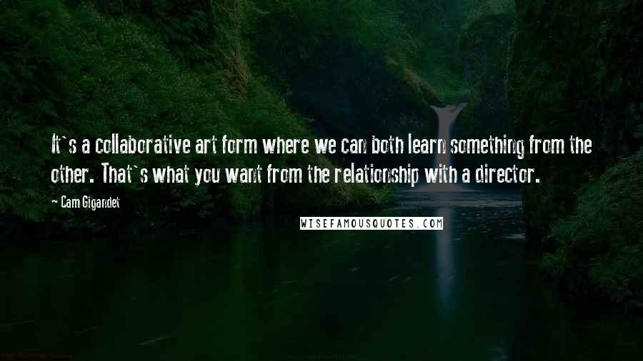 Cam Gigandet Quotes: It's a collaborative art form where we can both learn something from the other. That's what you want from the relationship with a director.