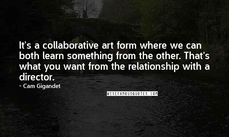 Cam Gigandet Quotes: It's a collaborative art form where we can both learn something from the other. That's what you want from the relationship with a director.