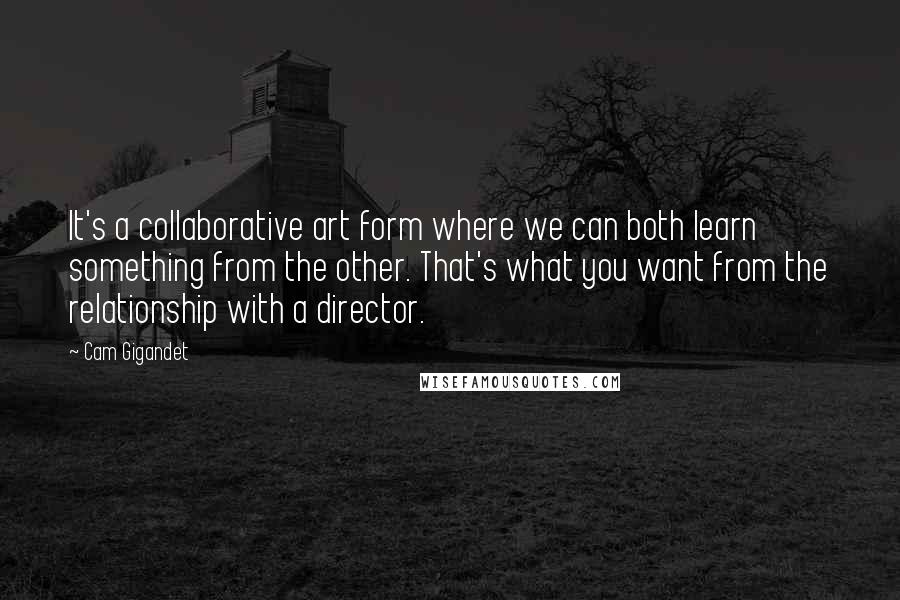 Cam Gigandet Quotes: It's a collaborative art form where we can both learn something from the other. That's what you want from the relationship with a director.