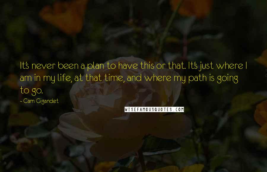 Cam Gigandet Quotes: It's never been a plan to have this or that. It's just where I am in my life, at that time, and where my path is going to go.