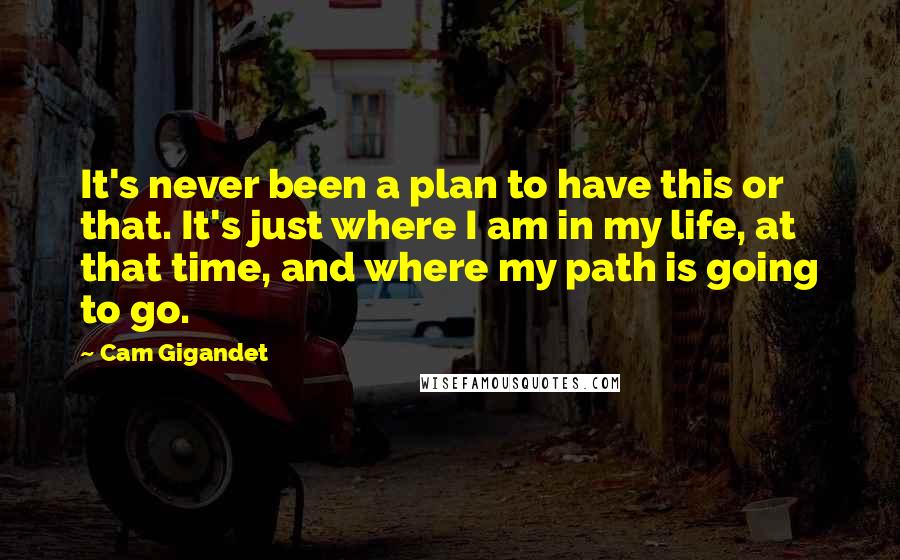 Cam Gigandet Quotes: It's never been a plan to have this or that. It's just where I am in my life, at that time, and where my path is going to go.