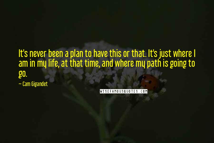 Cam Gigandet Quotes: It's never been a plan to have this or that. It's just where I am in my life, at that time, and where my path is going to go.