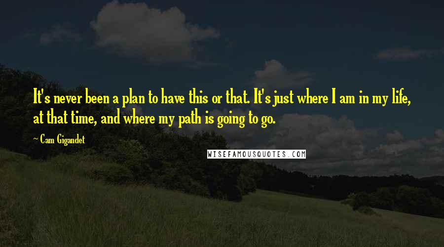 Cam Gigandet Quotes: It's never been a plan to have this or that. It's just where I am in my life, at that time, and where my path is going to go.