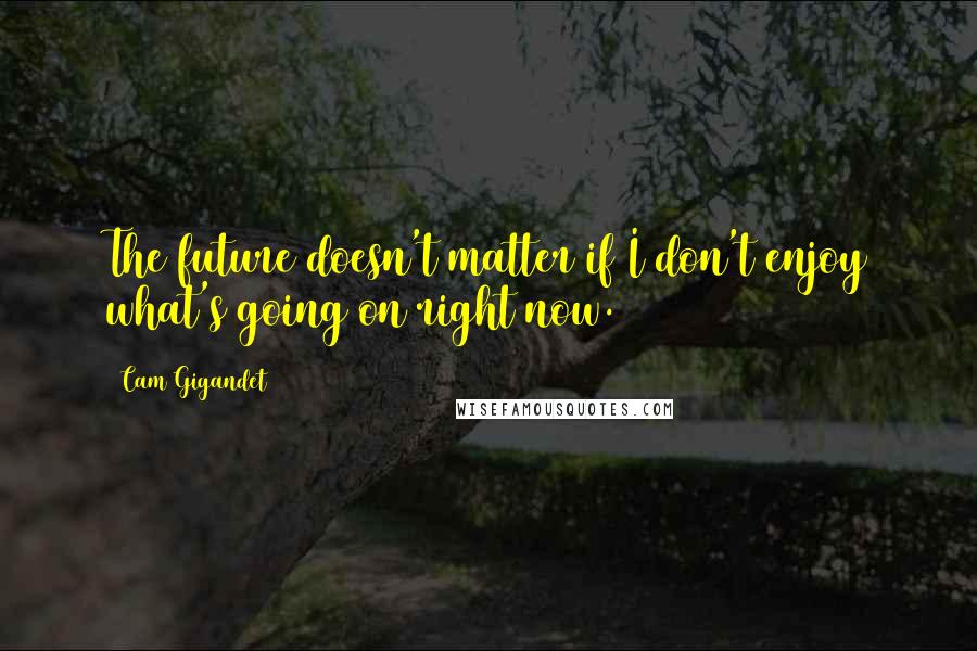 Cam Gigandet Quotes: The future doesn't matter if I don't enjoy what's going on right now.