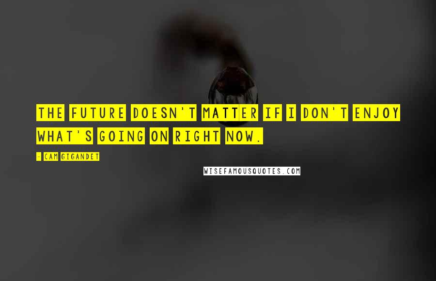 Cam Gigandet Quotes: The future doesn't matter if I don't enjoy what's going on right now.