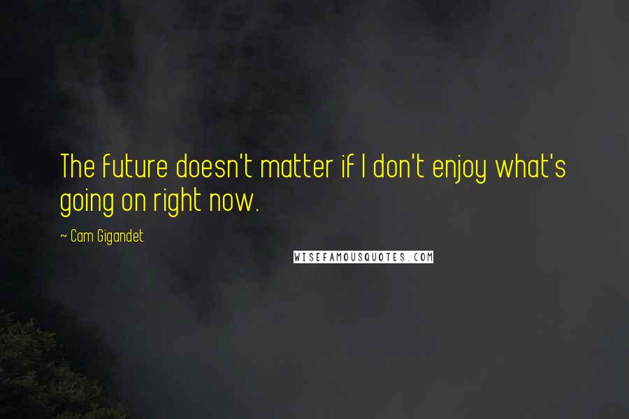 Cam Gigandet Quotes: The future doesn't matter if I don't enjoy what's going on right now.