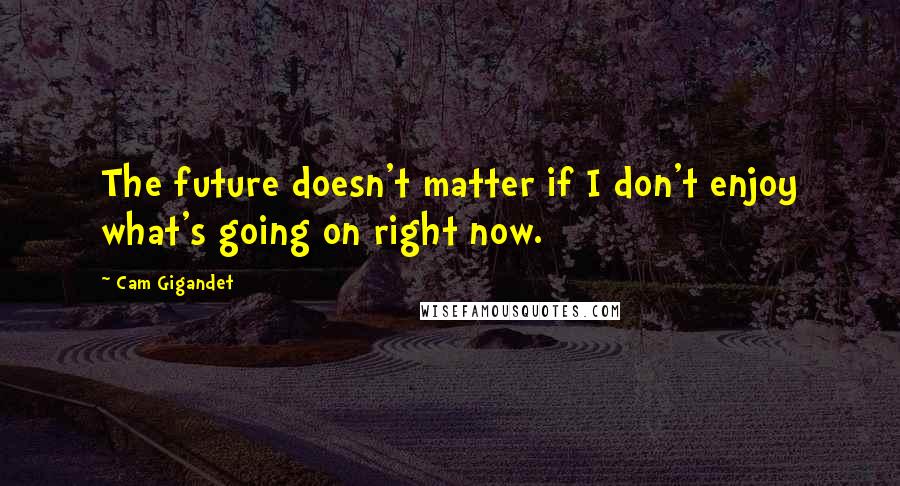 Cam Gigandet Quotes: The future doesn't matter if I don't enjoy what's going on right now.