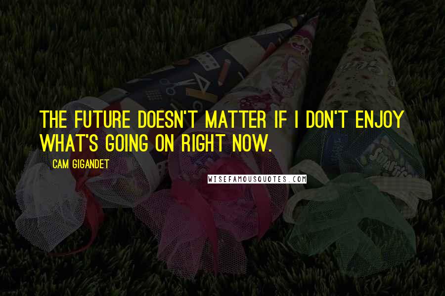 Cam Gigandet Quotes: The future doesn't matter if I don't enjoy what's going on right now.