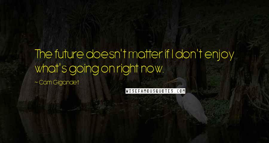 Cam Gigandet Quotes: The future doesn't matter if I don't enjoy what's going on right now.