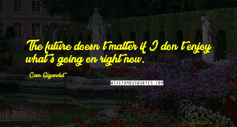 Cam Gigandet Quotes: The future doesn't matter if I don't enjoy what's going on right now.