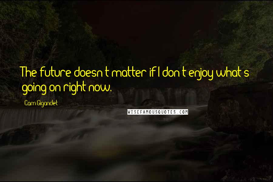 Cam Gigandet Quotes: The future doesn't matter if I don't enjoy what's going on right now.