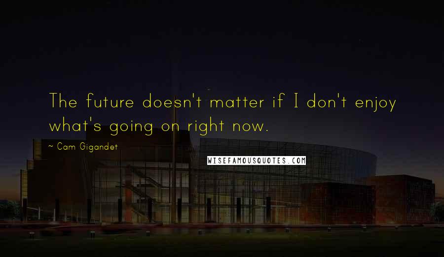 Cam Gigandet Quotes: The future doesn't matter if I don't enjoy what's going on right now.