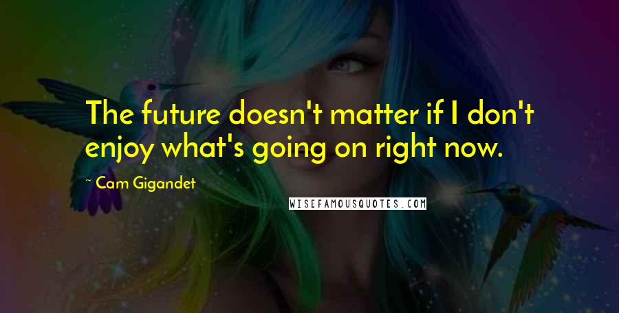 Cam Gigandet Quotes: The future doesn't matter if I don't enjoy what's going on right now.
