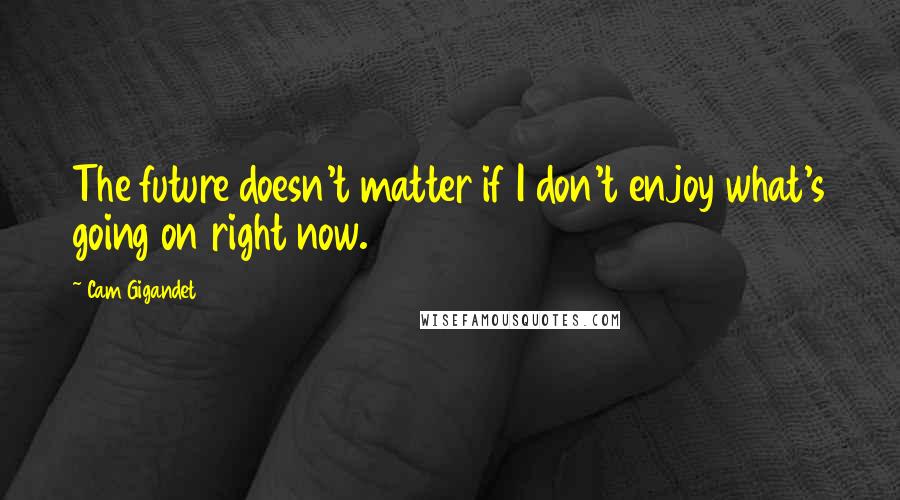 Cam Gigandet Quotes: The future doesn't matter if I don't enjoy what's going on right now.