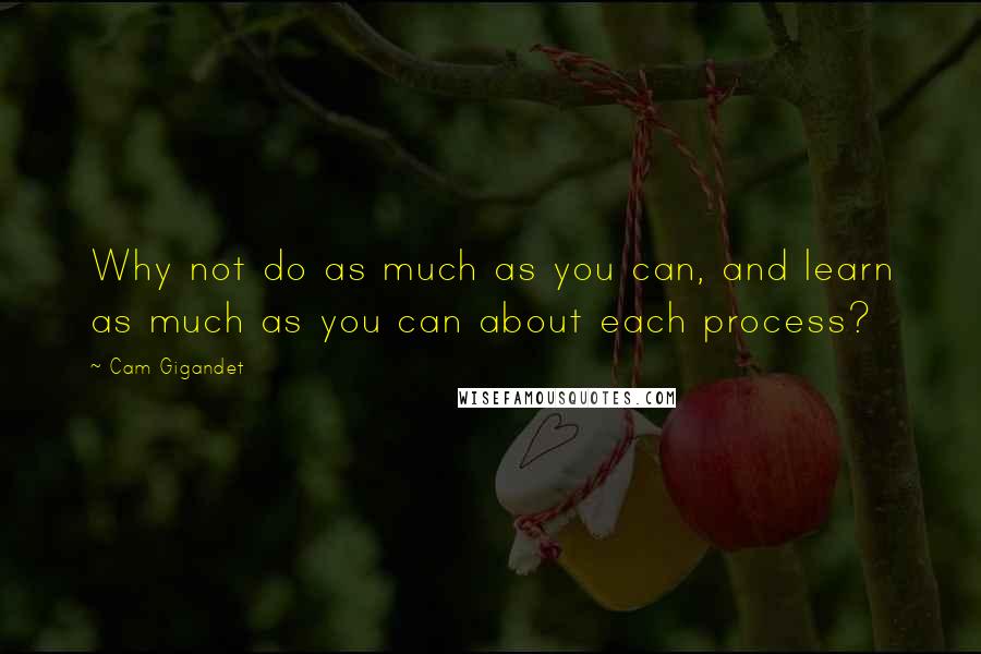 Cam Gigandet Quotes: Why not do as much as you can, and learn as much as you can about each process?