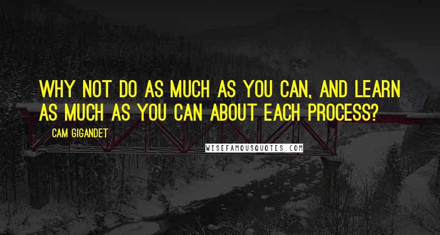 Cam Gigandet Quotes: Why not do as much as you can, and learn as much as you can about each process?