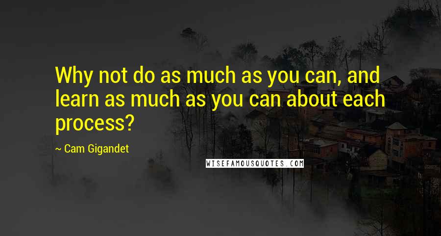 Cam Gigandet Quotes: Why not do as much as you can, and learn as much as you can about each process?