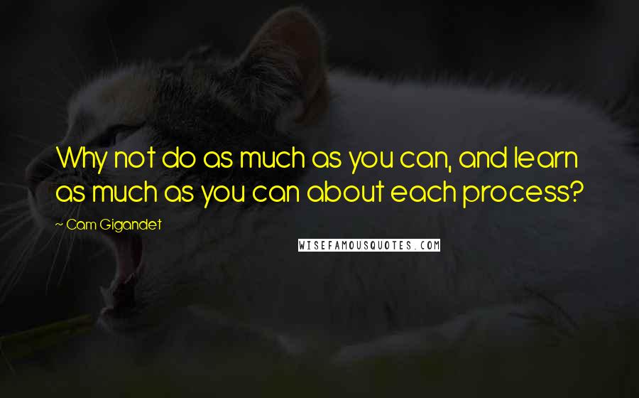 Cam Gigandet Quotes: Why not do as much as you can, and learn as much as you can about each process?