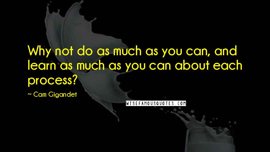 Cam Gigandet Quotes: Why not do as much as you can, and learn as much as you can about each process?