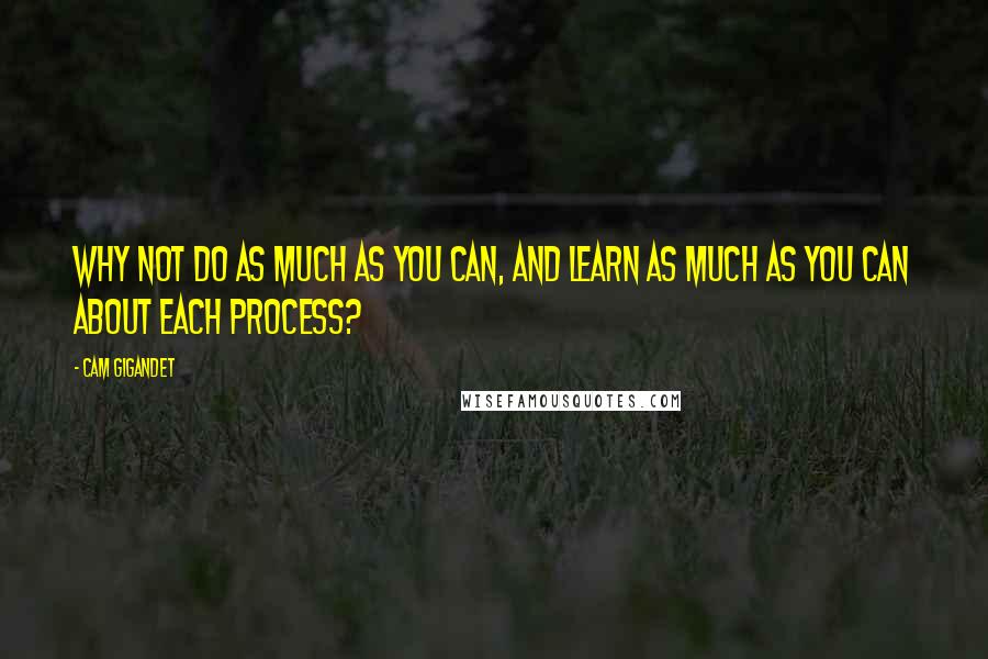 Cam Gigandet Quotes: Why not do as much as you can, and learn as much as you can about each process?