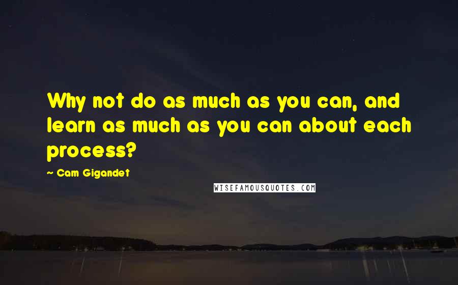 Cam Gigandet Quotes: Why not do as much as you can, and learn as much as you can about each process?