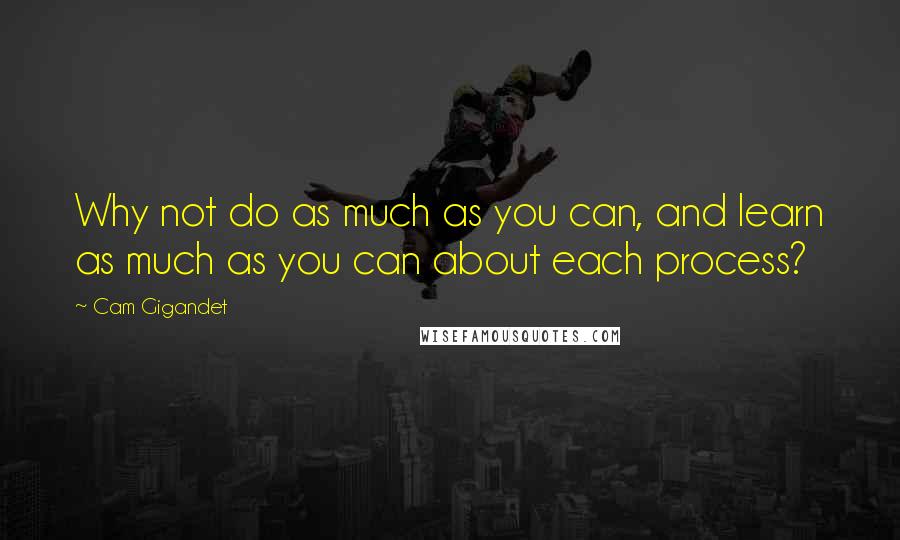 Cam Gigandet Quotes: Why not do as much as you can, and learn as much as you can about each process?