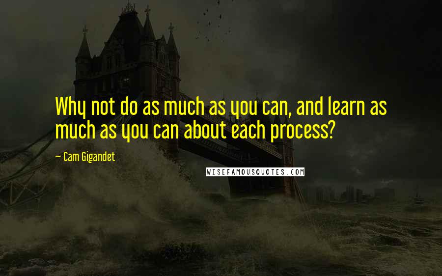 Cam Gigandet Quotes: Why not do as much as you can, and learn as much as you can about each process?