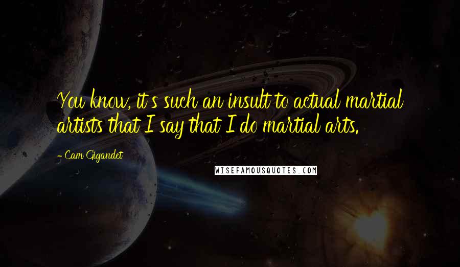 Cam Gigandet Quotes: You know, it's such an insult to actual martial artists that I say that I do martial arts.