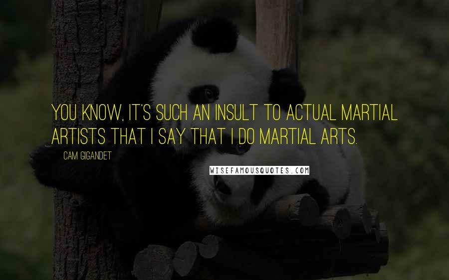 Cam Gigandet Quotes: You know, it's such an insult to actual martial artists that I say that I do martial arts.