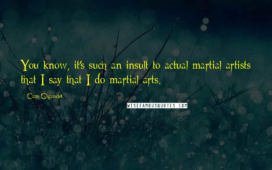 Cam Gigandet Quotes: You know, it's such an insult to actual martial artists that I say that I do martial arts.