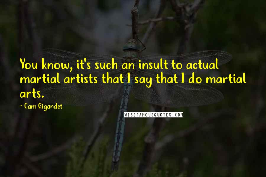 Cam Gigandet Quotes: You know, it's such an insult to actual martial artists that I say that I do martial arts.