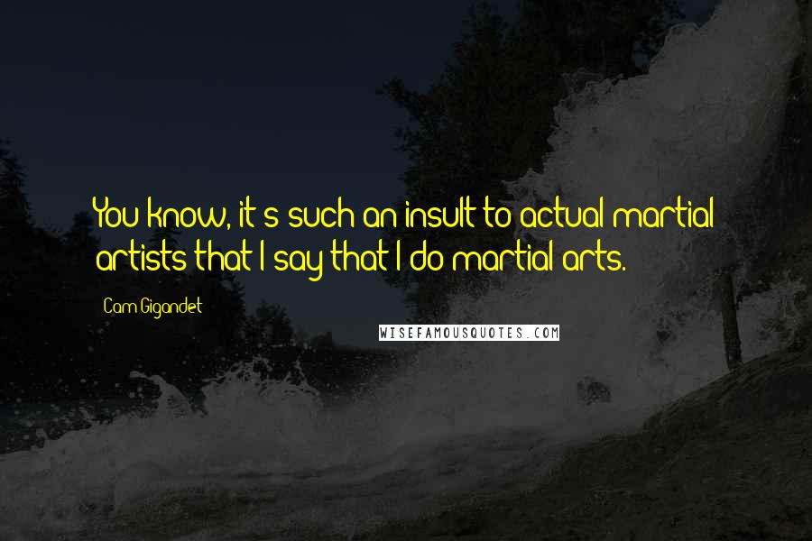 Cam Gigandet Quotes: You know, it's such an insult to actual martial artists that I say that I do martial arts.