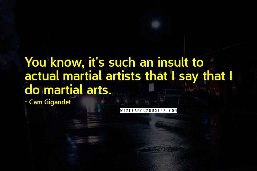 Cam Gigandet Quotes: You know, it's such an insult to actual martial artists that I say that I do martial arts.