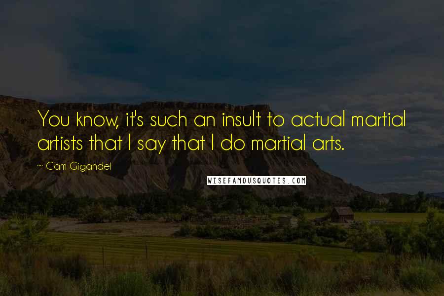 Cam Gigandet Quotes: You know, it's such an insult to actual martial artists that I say that I do martial arts.